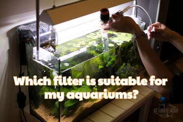 Which filter is suitable for my aquariums?