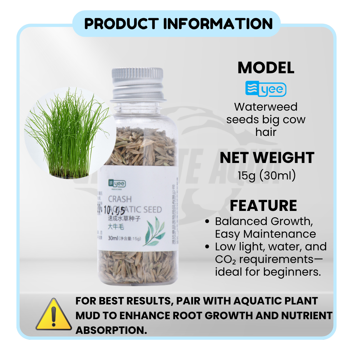 YEE Aquarium Plant Seed, Waterseed For Aquarium Plant For Fish Tank, Easy To Plant With No CO2, High Germination Rate