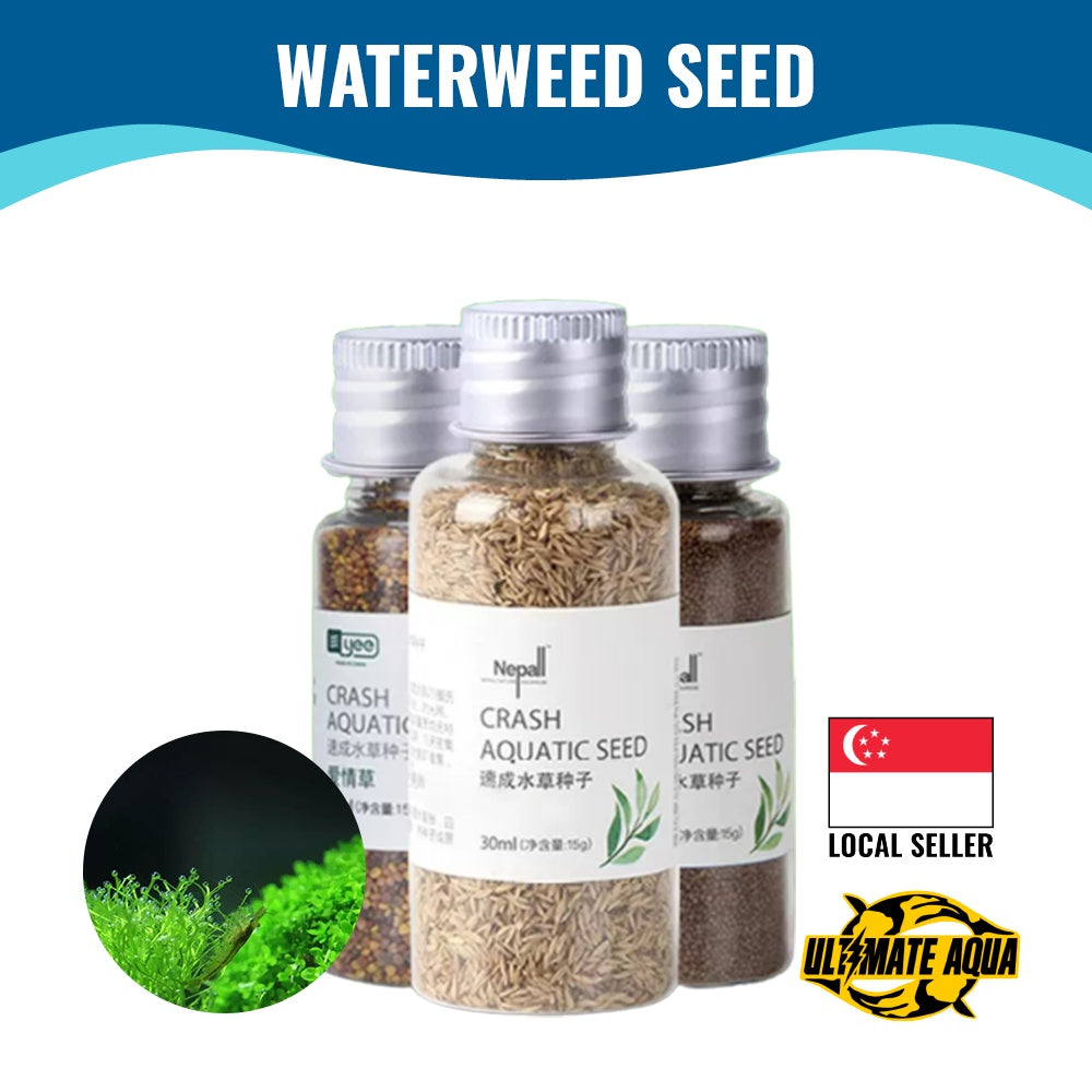 YEE Aquarium Plant Seed, Waterseed For Aquarium Plant For Fish Tank, Easy To Plant With No CO2, High Germination Rate_thumb