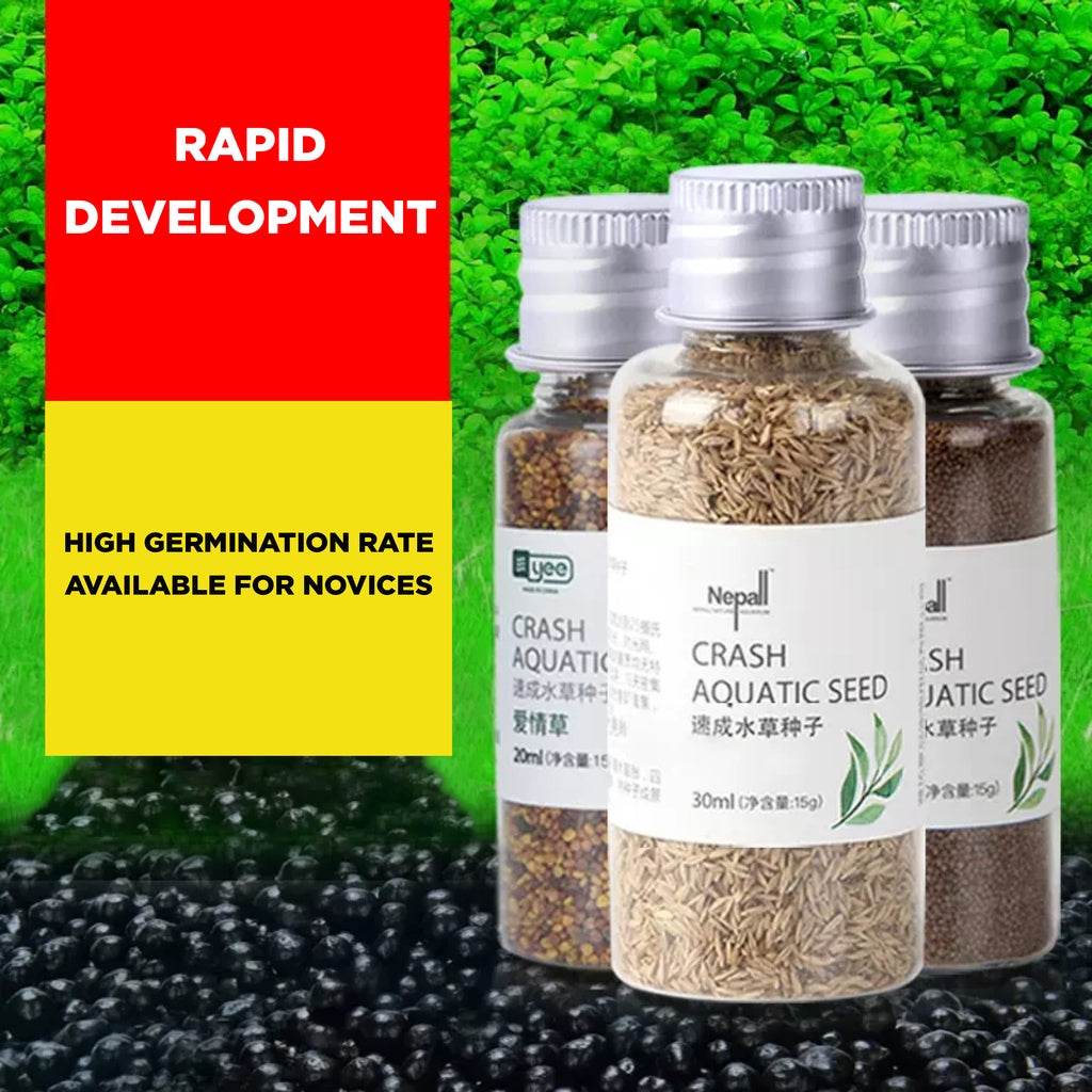 YEE Aquarium Plant Seed, Waterseed For Aquarium Plant For Fish Tank, Easy To Plant With No CO2, High Germination Rate_feature