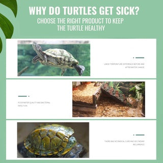 YEE Turtle Medicine, Healthy Pet, Herbal Treatment For Rotten Skin, Eye Diseases, Deodorize _ Benefits