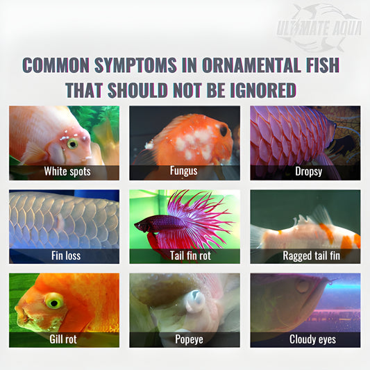YEE Aquarium Salt for Ornamental Fish, Sea Salt for Sterilization and Antibacterial Purposes_illness