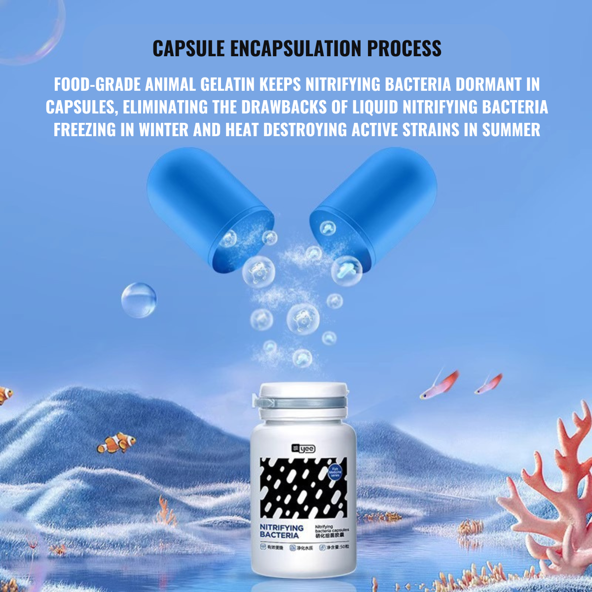 YEE, Nitrifying Bacteria water purifier concentrated dry powder aquarium fish nitrifying bacteria, 50 Capsules