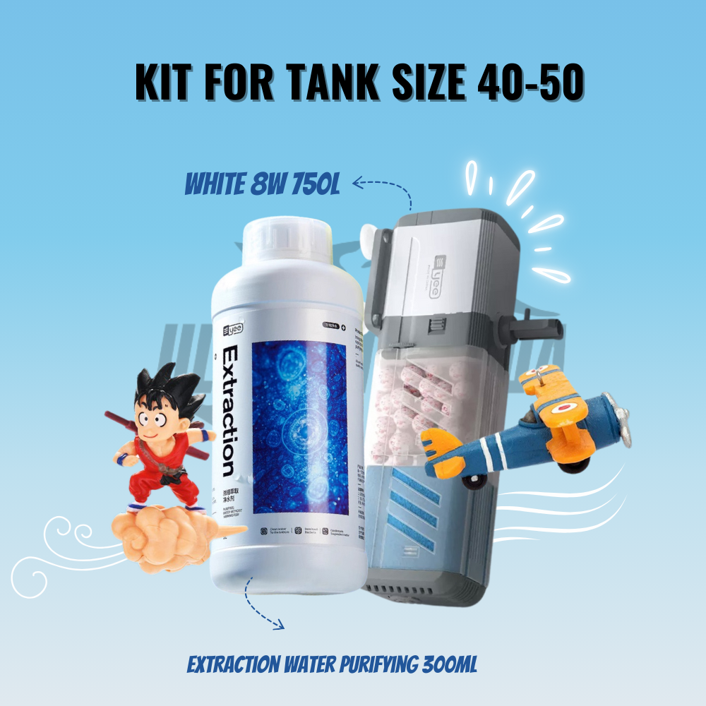 YEE Aquarium Glass Tank, Crystal Tank With 5mm Thick Glass | Transparent Fish Tank