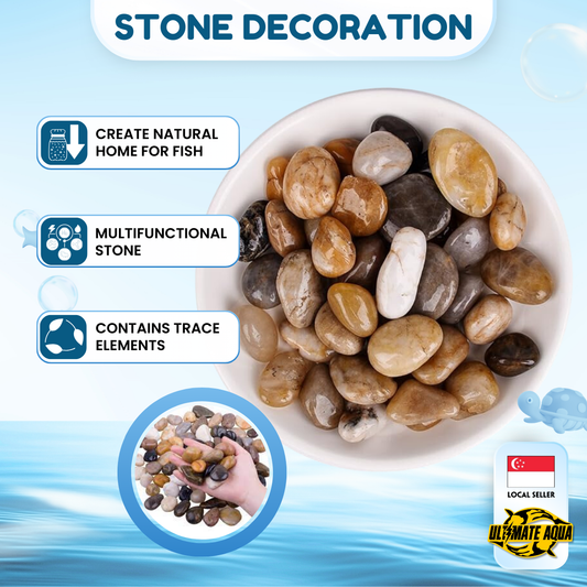 Fish Tank Decoration Stone, YEE Aquarium Stone, Shells And Sand | Colorful Stones for Aquarium Flooring