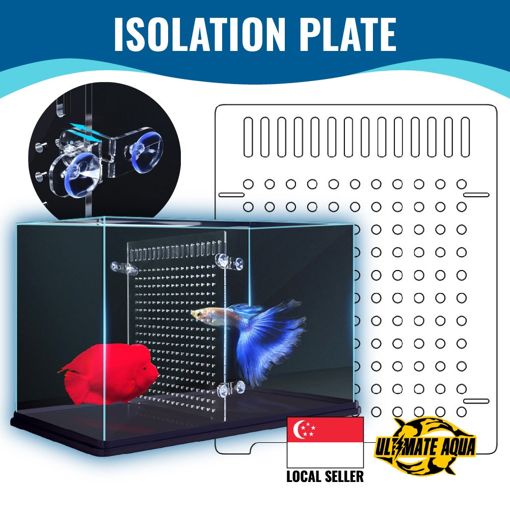 YEE, Fish Tank Divider, Acrylic Aquarium Isolation Board, Raising Different Kinds Of Fish In A Tank _ aquarium divider