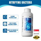 YEE Aquarium Bacteria, Nitrifying Bacteria, Filter Media For Aquarium Tank _ nitrifying