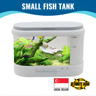 Yee Fish Tank Supplies Large Home Decoration Glass Ecological Fish