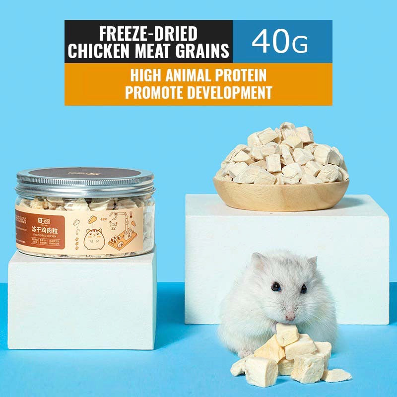 Hamster 2024 protein food