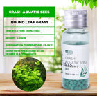 YEE Aquarium Plant Seed, Waterseed For Aquarium Plant For Fish Tank, Easy To Plant With No CO2, High Germination Rate_parameter